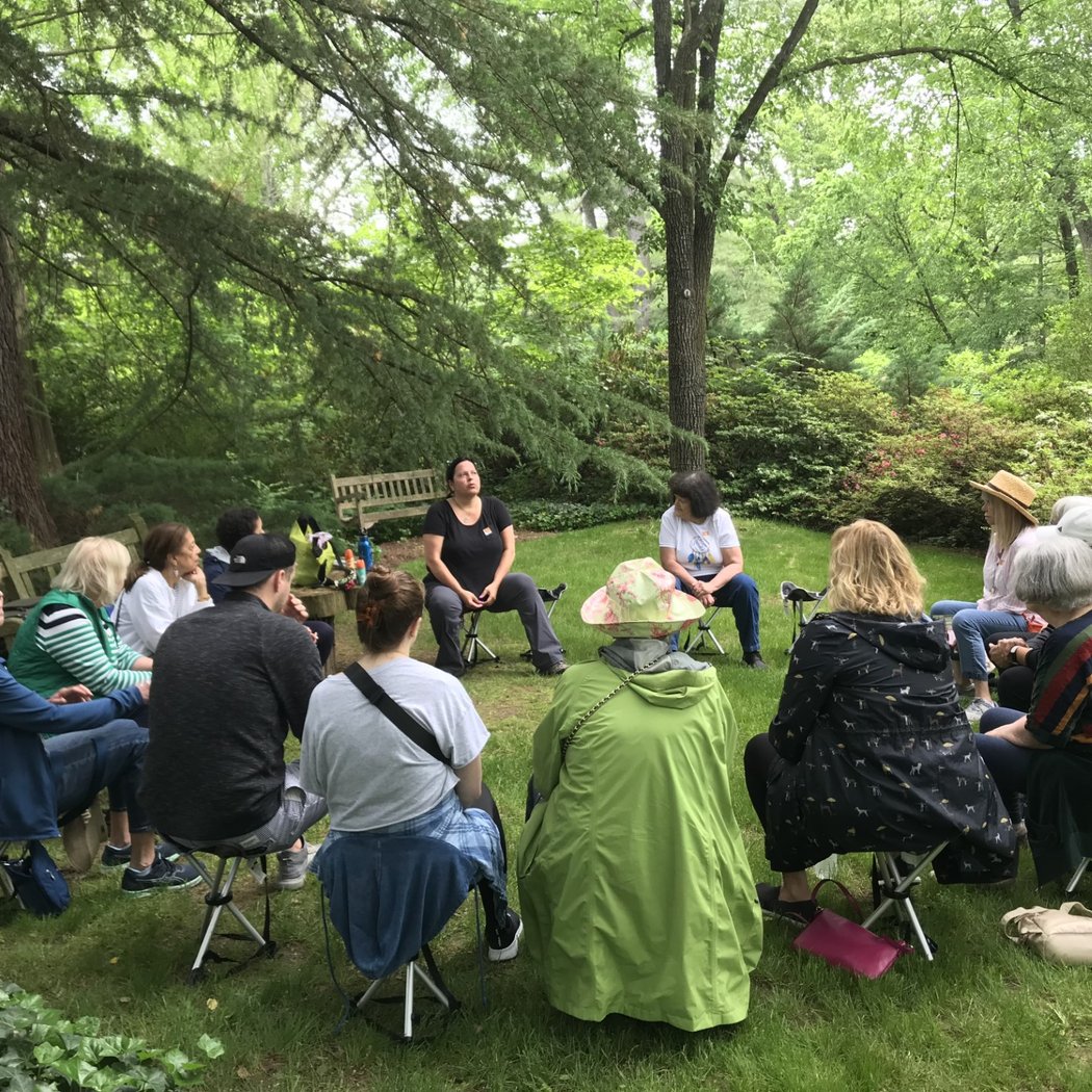 Guided Forest Bathing Walks