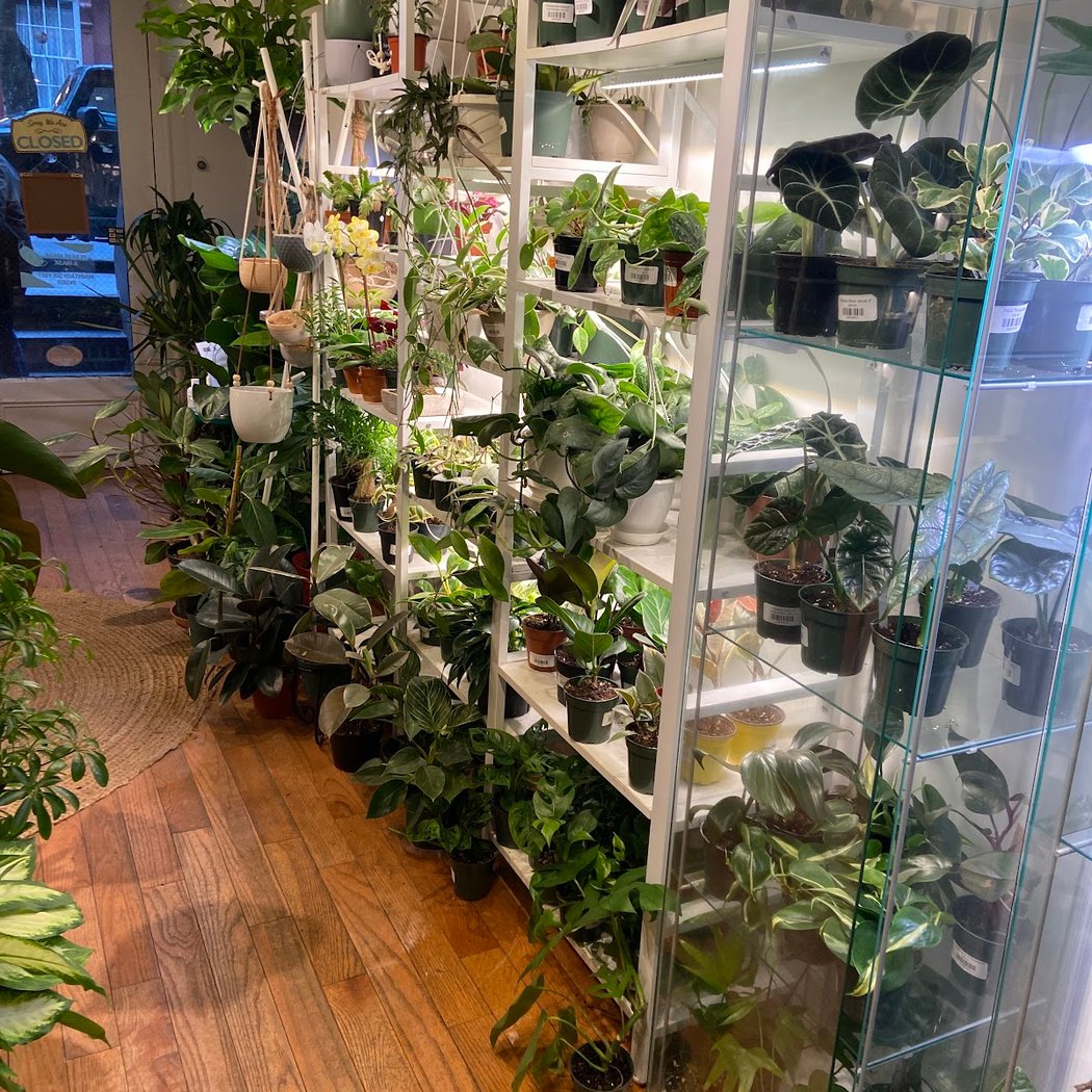 Living with Green 4