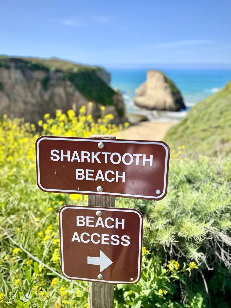 Shark Fin Cove 3