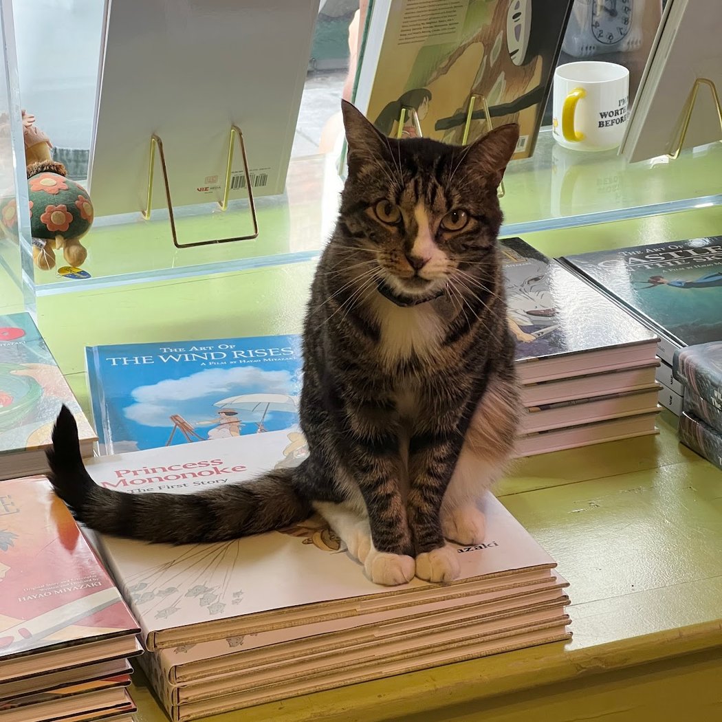 Pillow-Cat Books 1