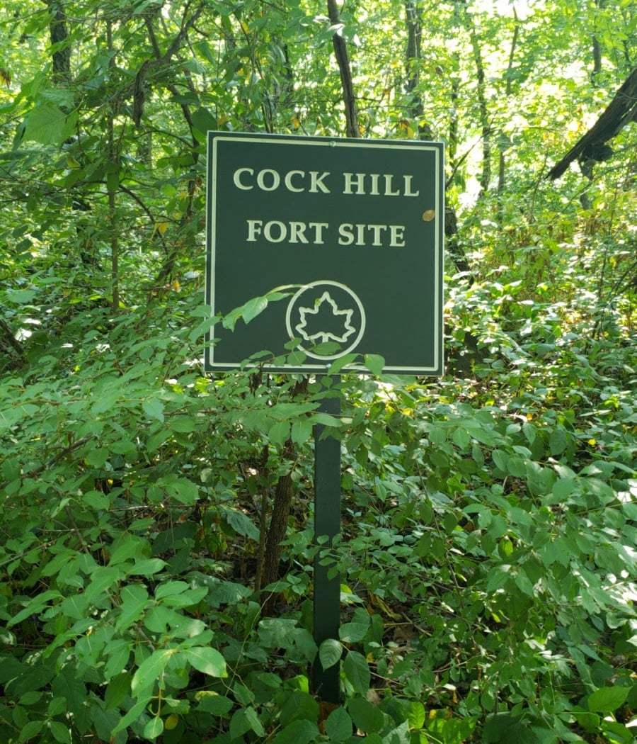 Fort Cockhill 2