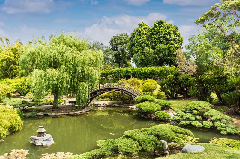 The Huntington Library, Art Museum, and Botanical Gardens 1