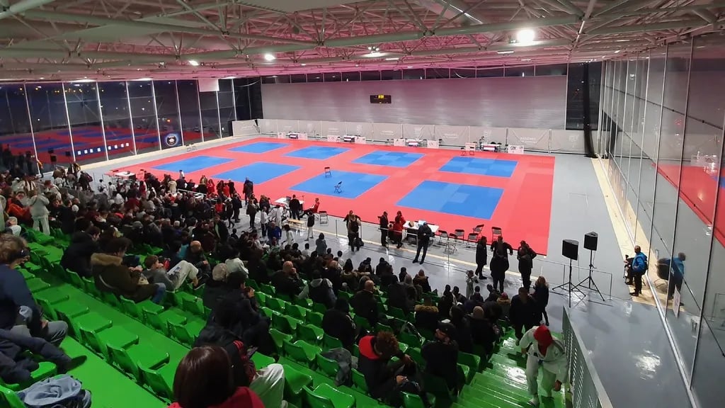 Arena Teddy Riner 1