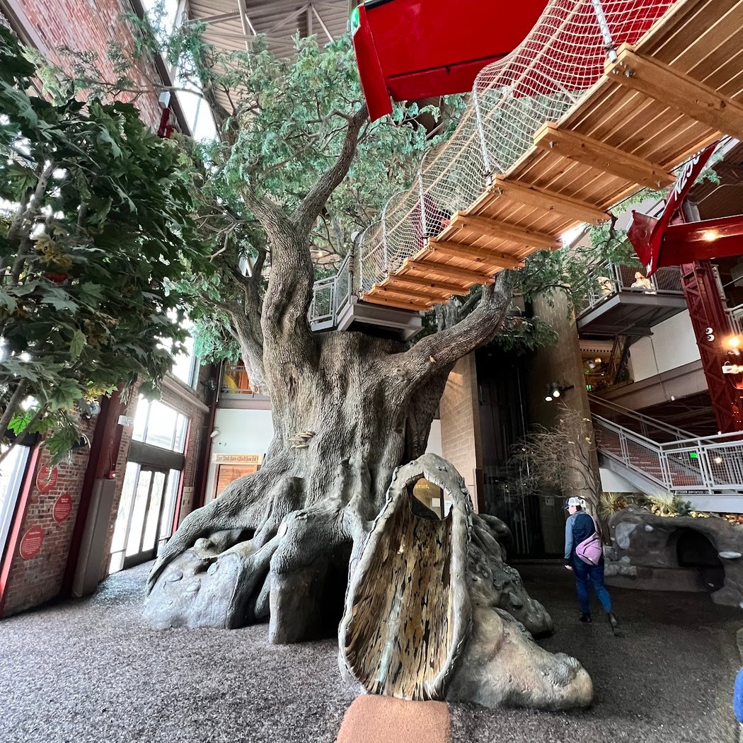 Outdoor Adventure Center 3