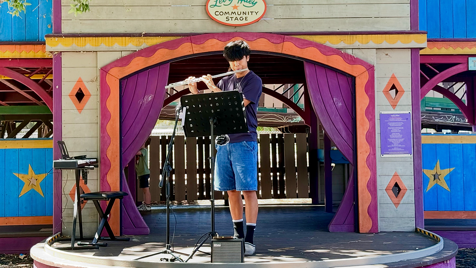 Live Performances with Bridges in Music