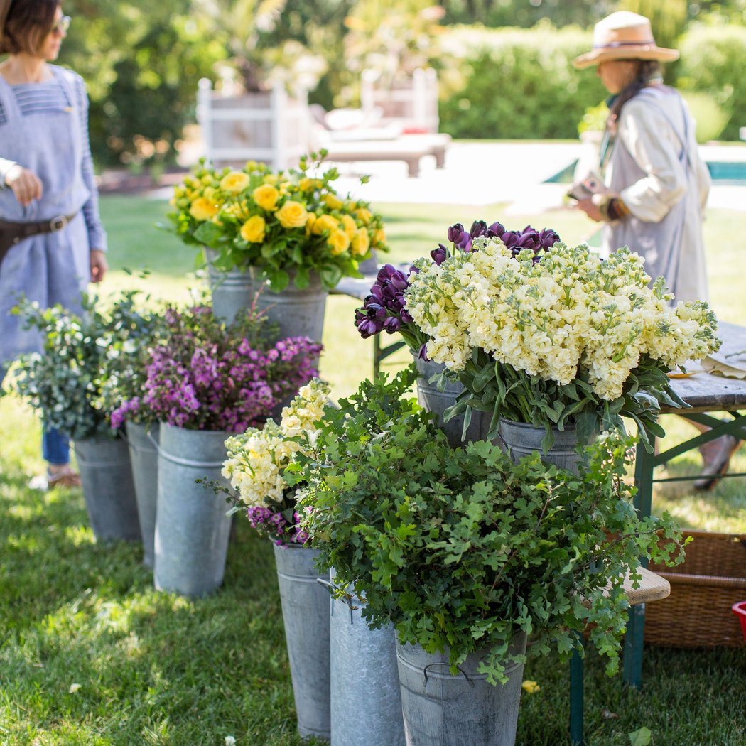 Mother’s Day at Chateau Sonoma Farm 1