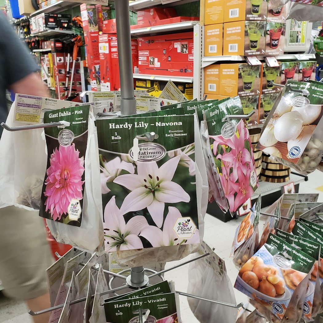 Pedrotti Ace Hardware 2