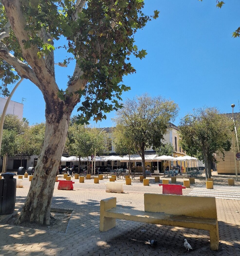 Mercadillo de la Alameda de Hércules 2