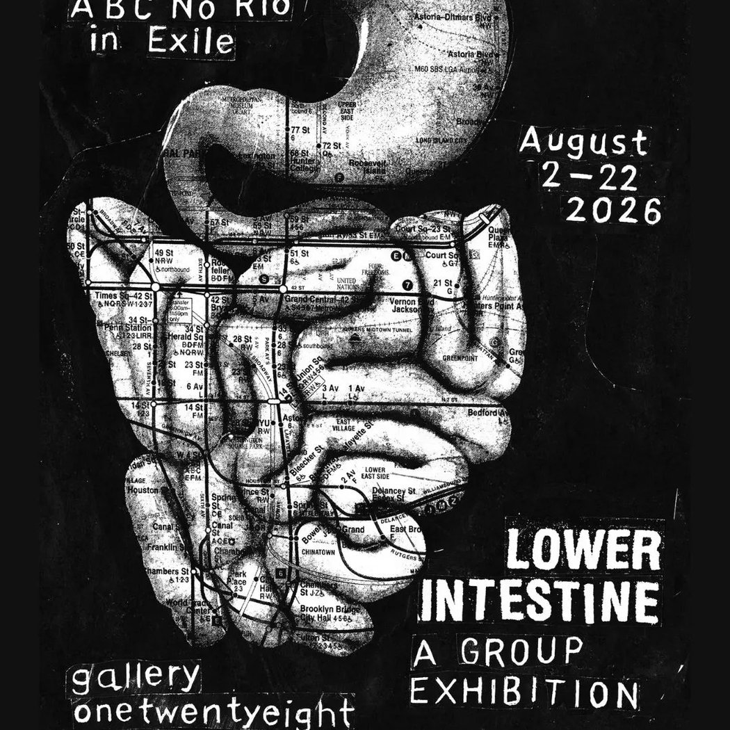 Lower Intestine Opening Reception 1