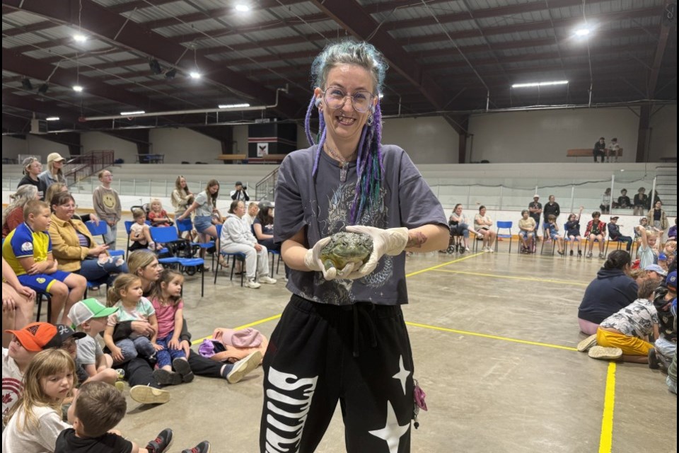 Snakes and Reptiles 2