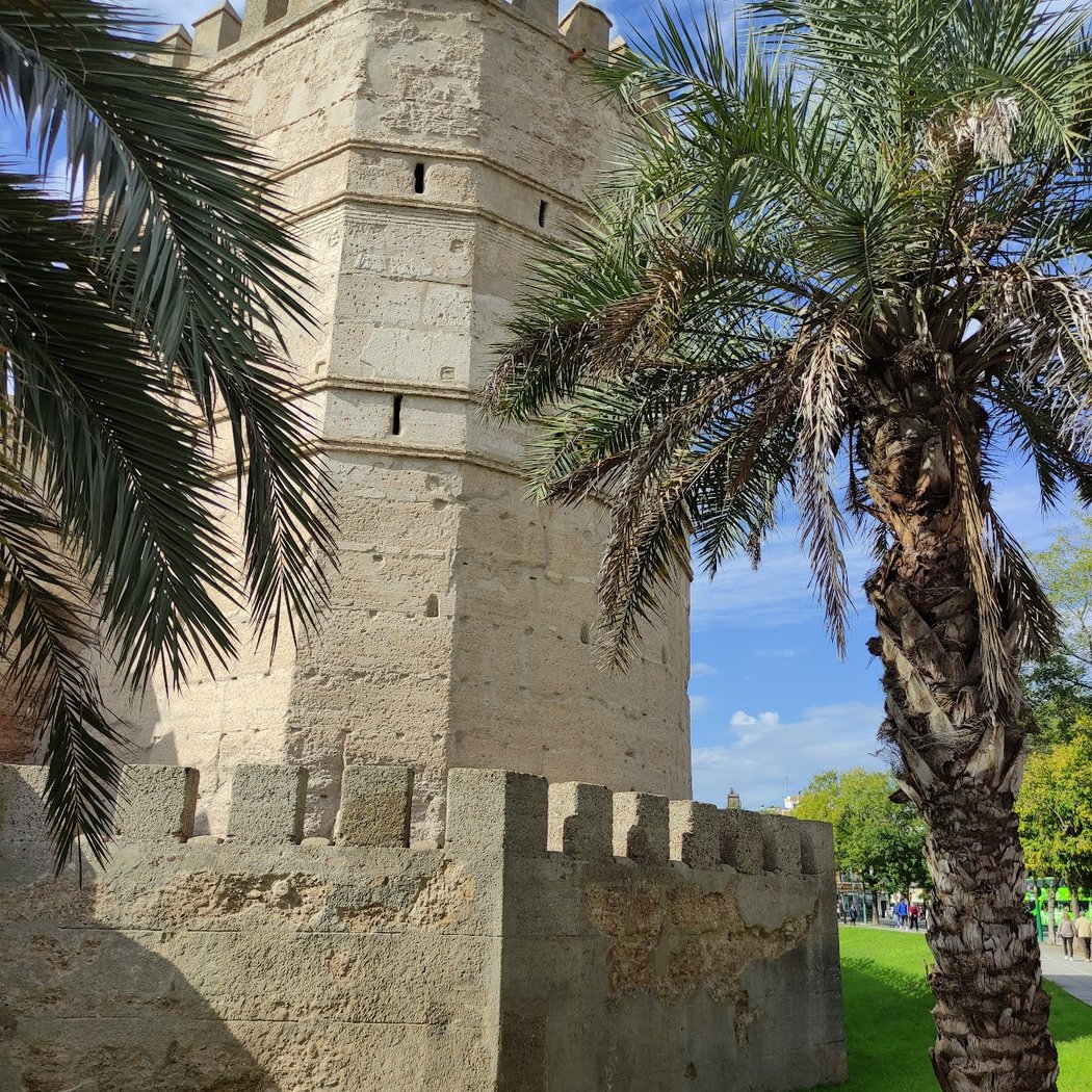 La Torre Blanca (o Torreón de la Tía Tomasa) 2