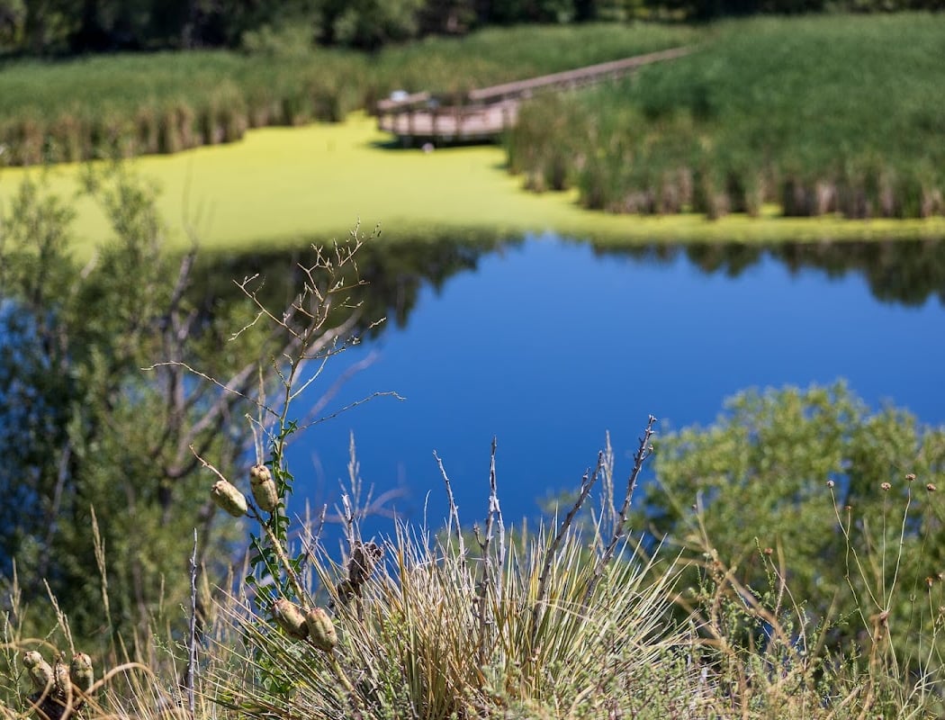 Bird Walk at Bluff Lake Nature Center 2