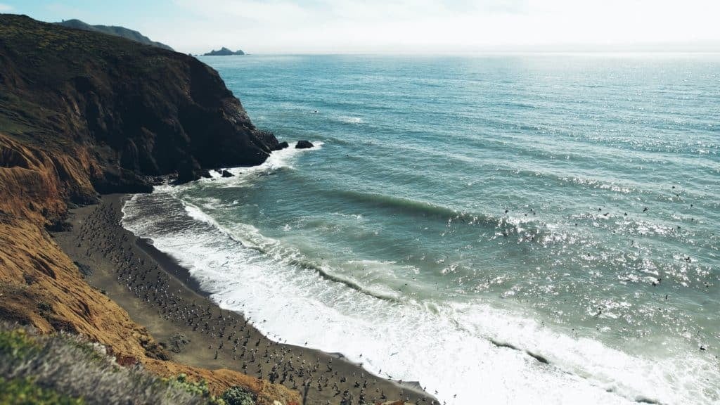 Sharp Park Beach 2