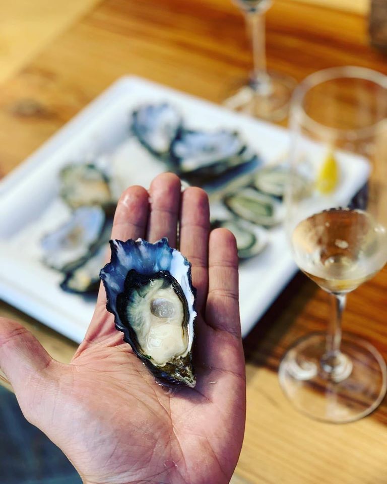 Winter Oyster Sunday 1