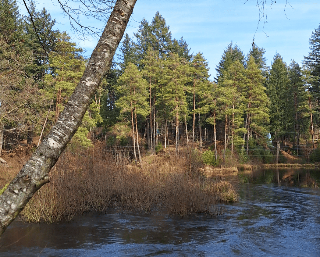 Parc Accrobranche Accro-Sioule Allier 2