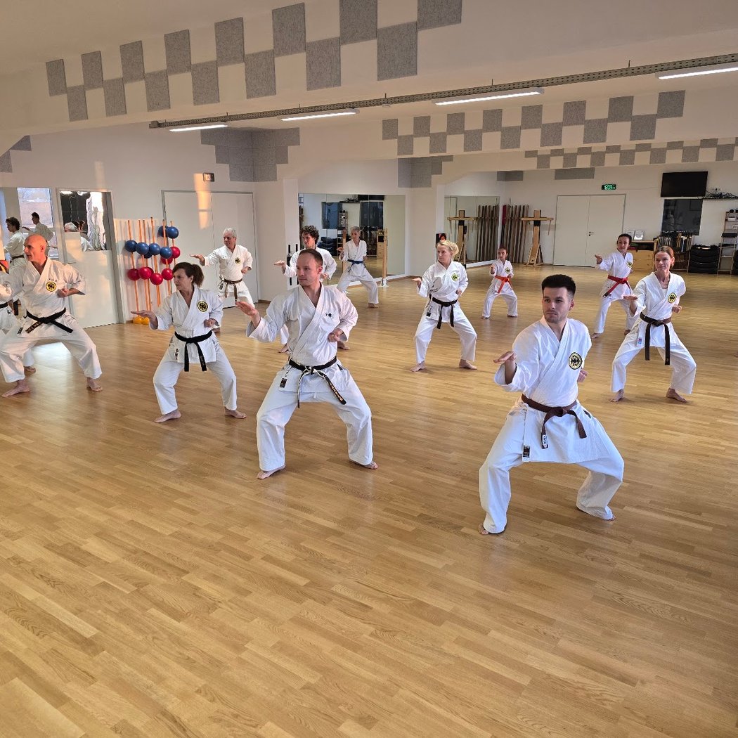 Budo Akademie München