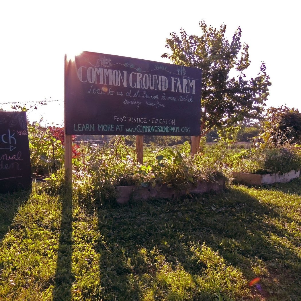 Common Ground Farm 2