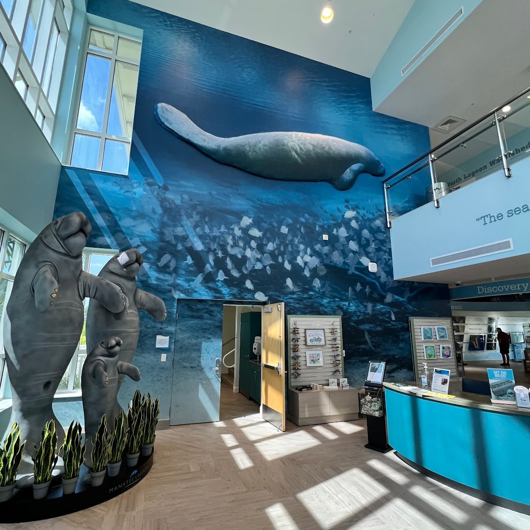 Manatee Lagoon 3