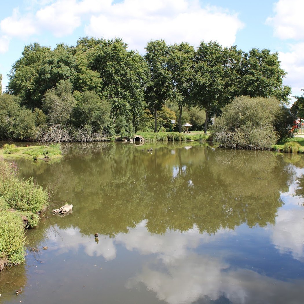 Initiation de Qi Gong 2
