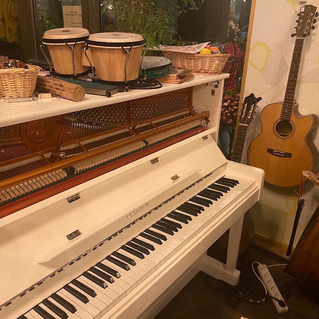 musica andina y alpina 3