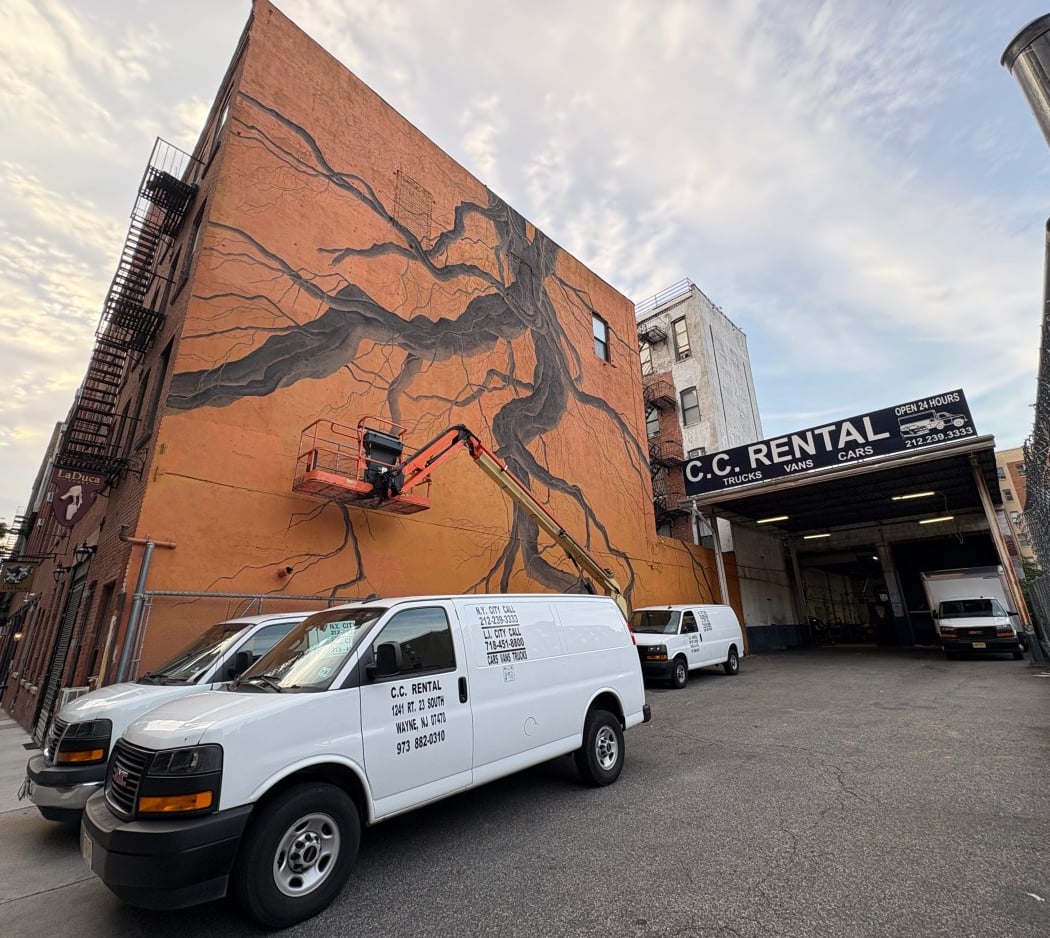 NYC Mural Arts Project 3