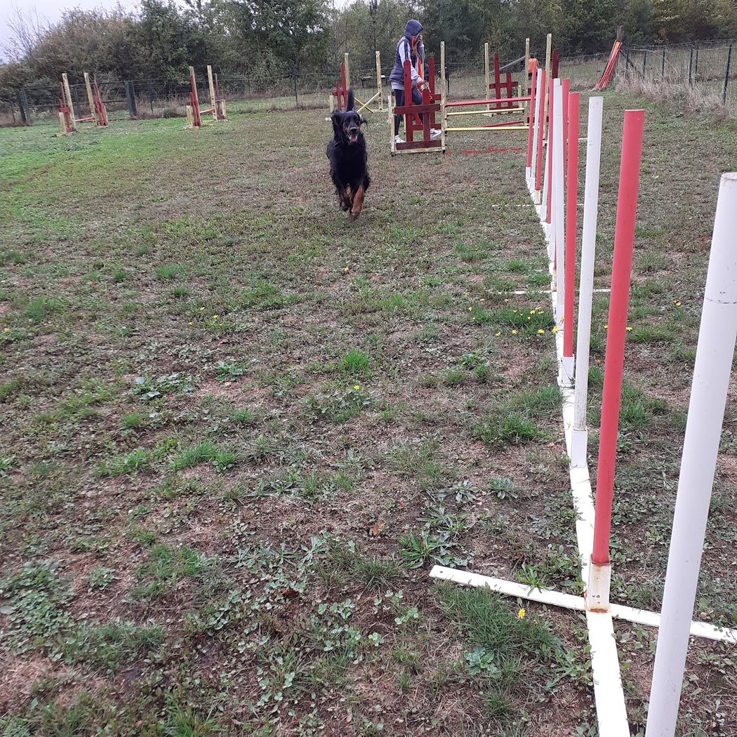 Cercle Canin Montrichardais 2