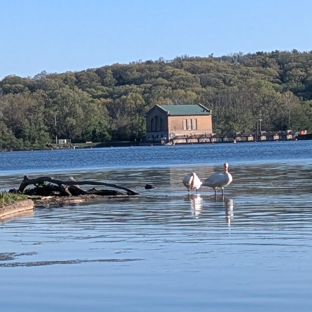 Barton Pond 2