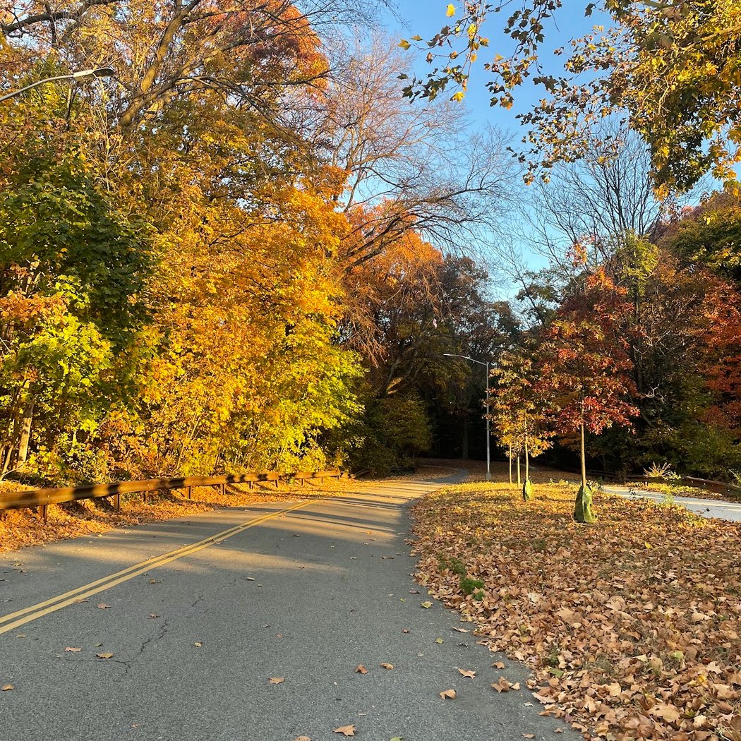 Jackson Pond Playground 3
