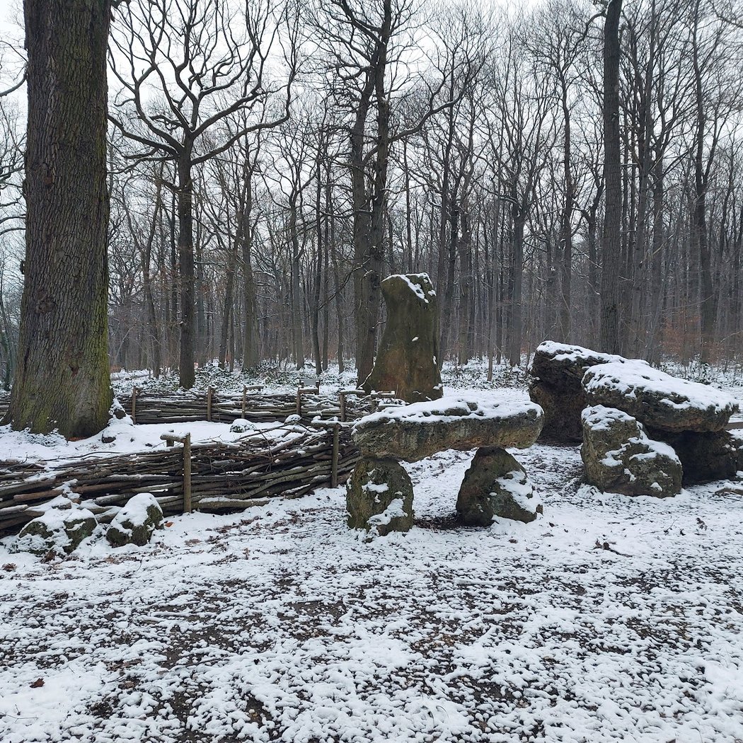Chêne des Missions — Menhir - Dolmen 3