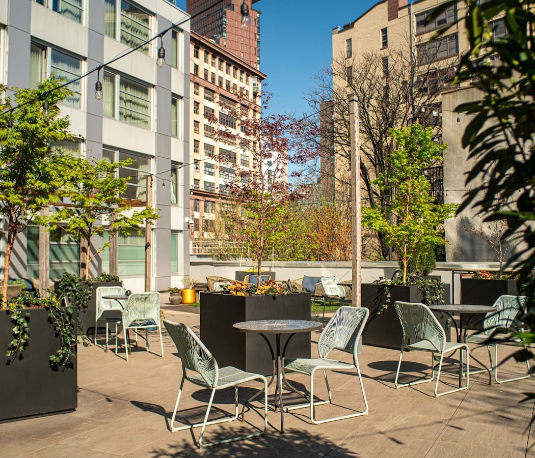 The Tillary Hotel Brooklyn 3