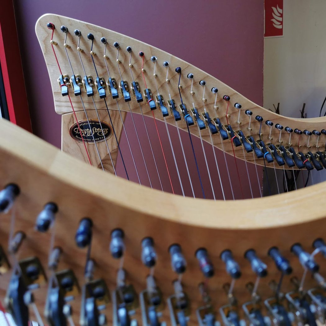 Audition de Harpe 3