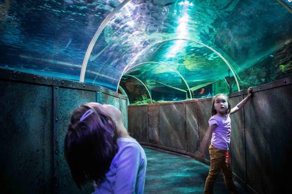 Grand Aquarium de Touraine 1