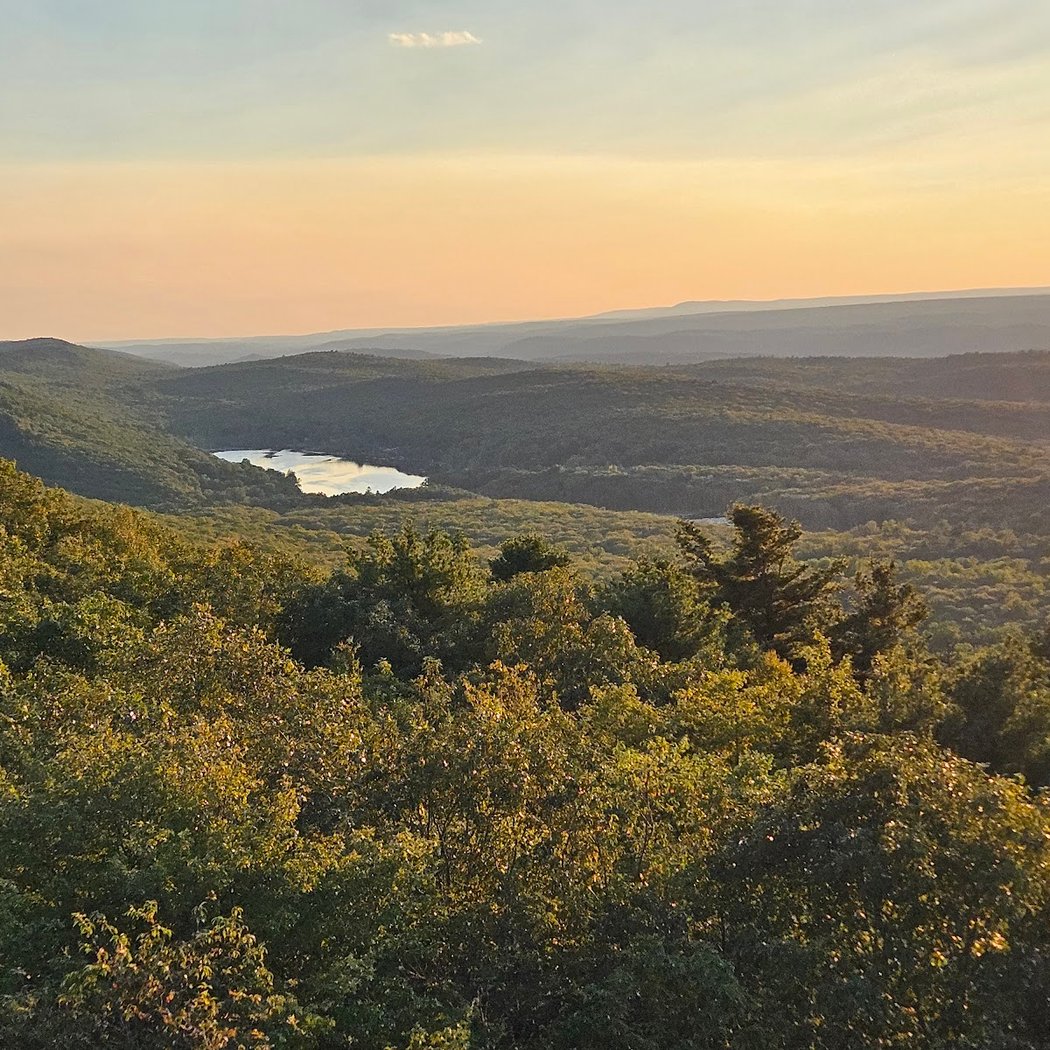 Stokes State Forest 1