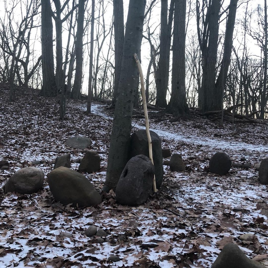 The Grove of Forest Park 2