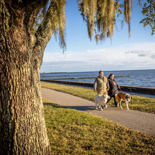 Pup Walk Evening 2