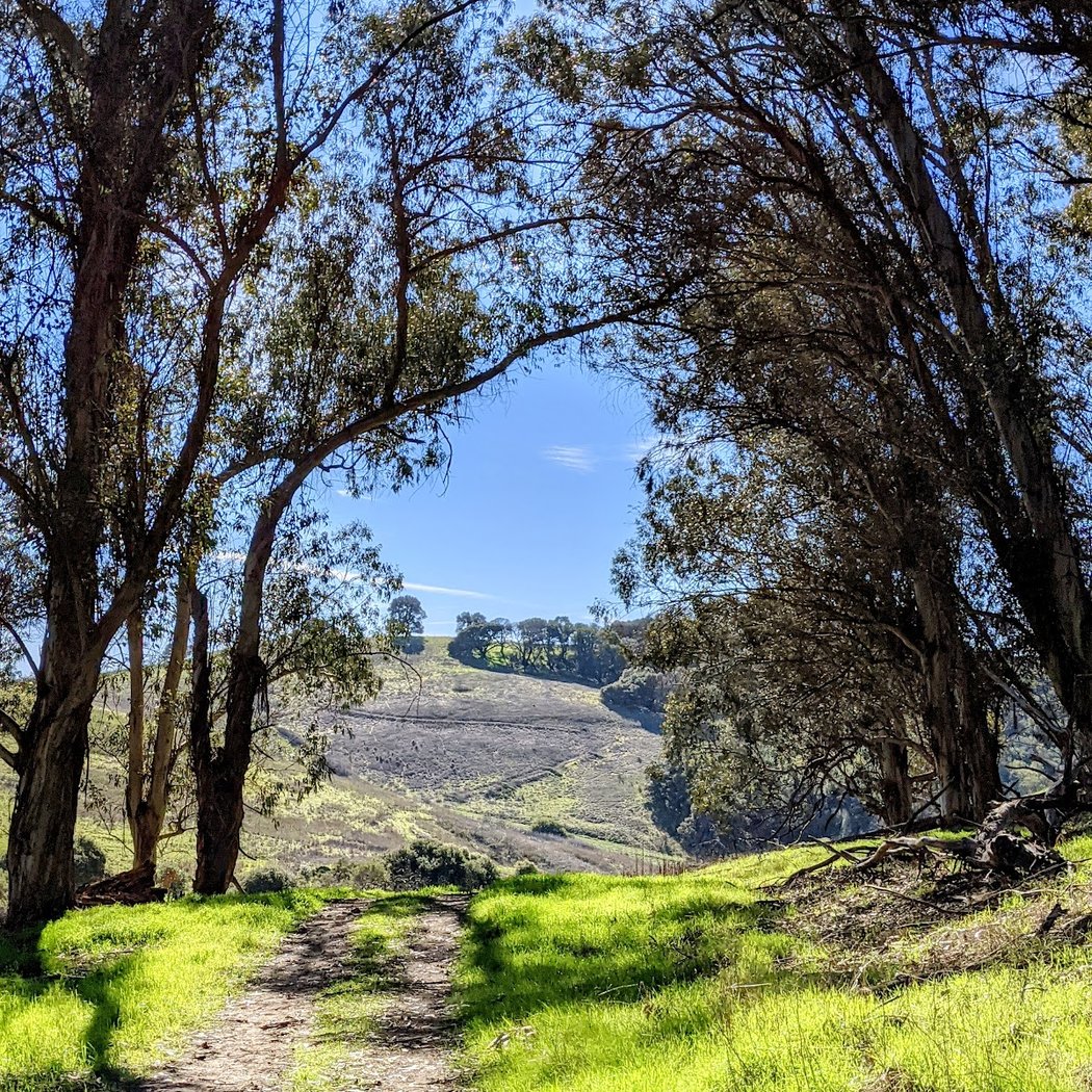 Newell Discovery Hike 1
