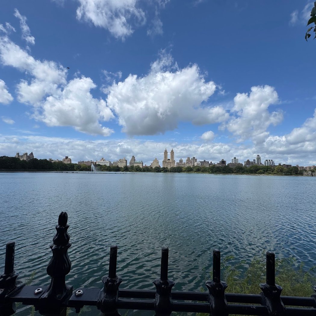Achilles International: NYC Central Park Workout 2