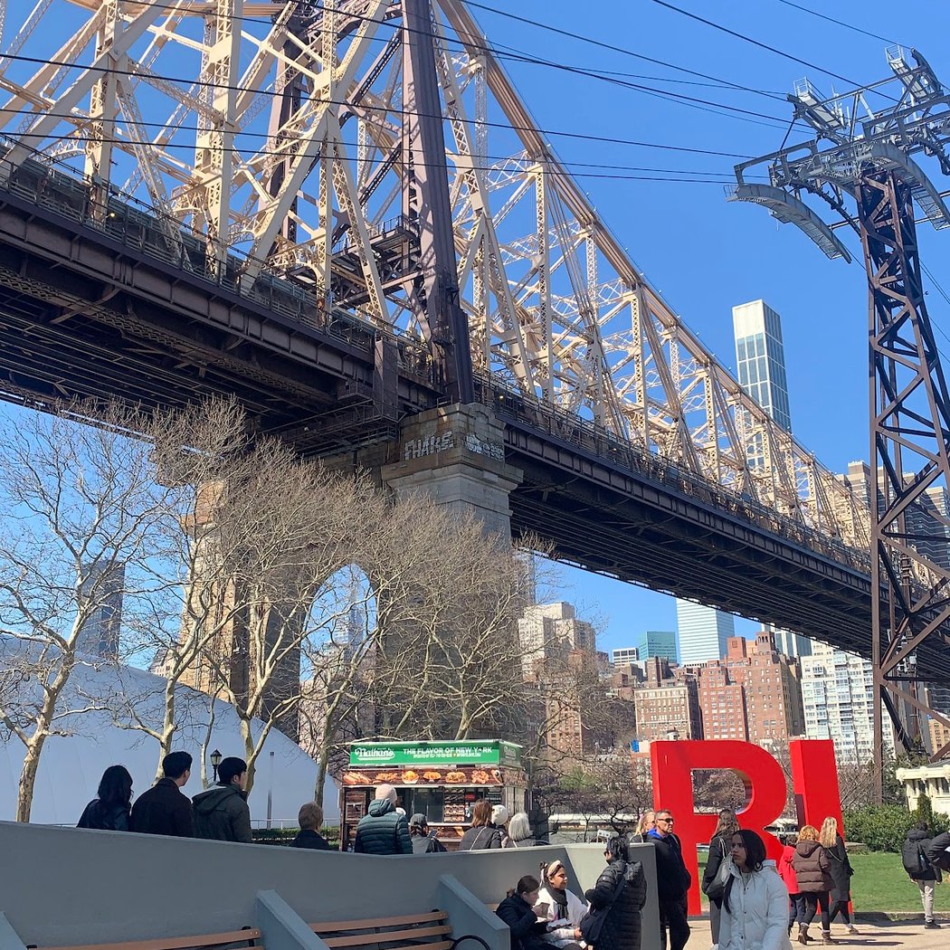Roosevelt Island 3