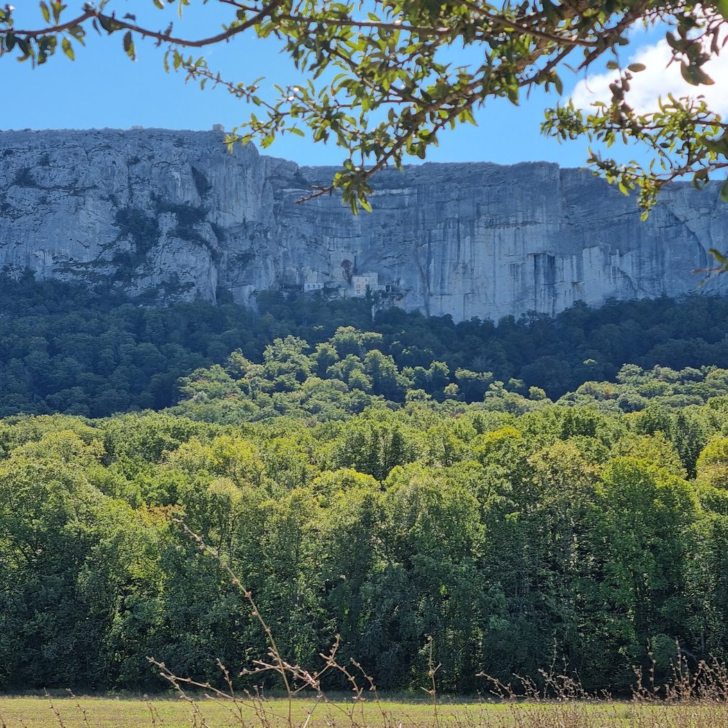 Forêt de la Sainte-Baume 2
