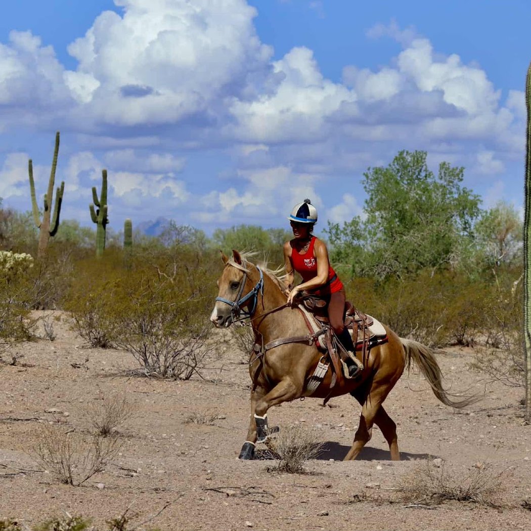 Cheval d'Aventure | Agence de voyages à cheval 3