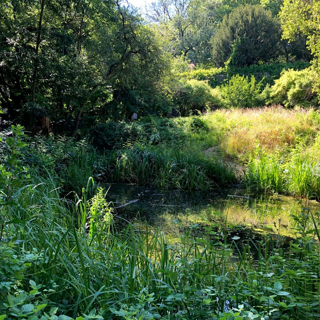 Pierre-Emmanuel naturel Garden 1
