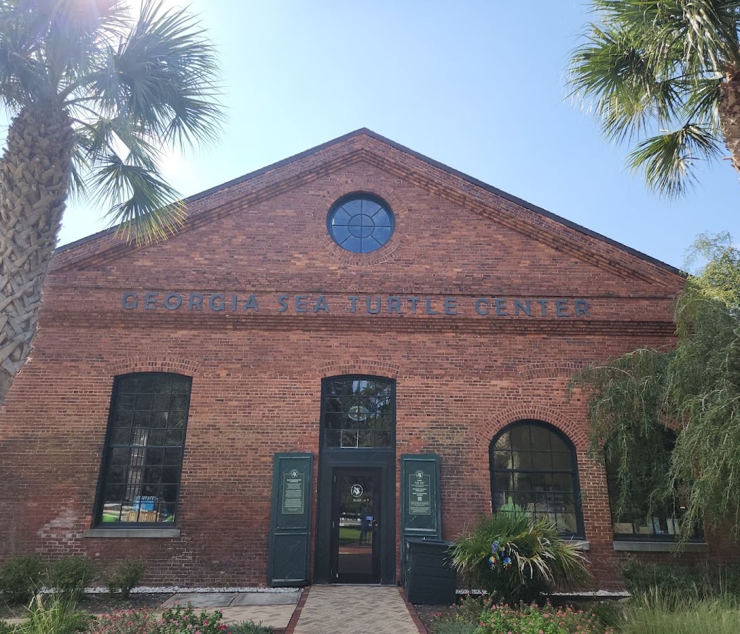 Georgia Sea Turtle Center 2