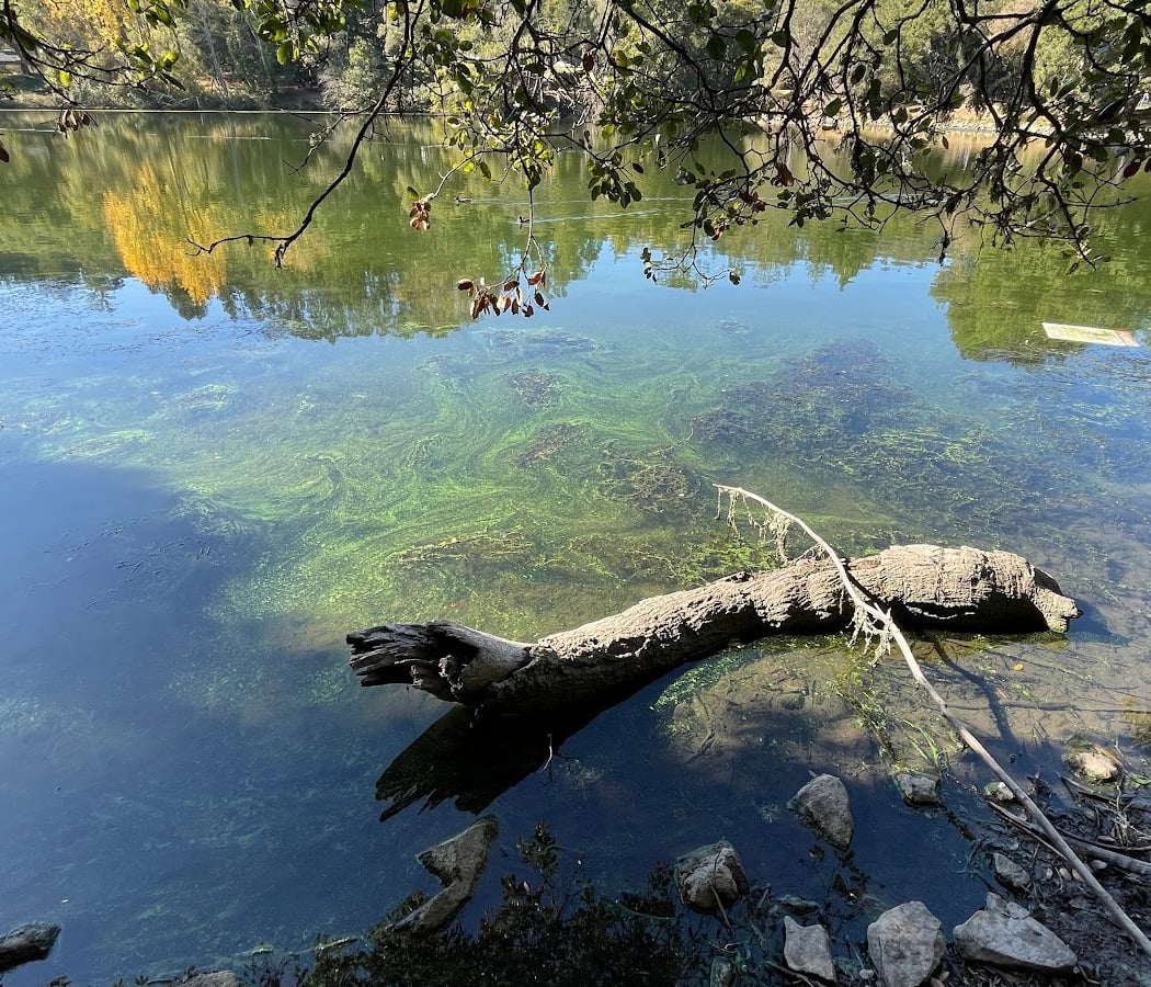 Lake Anza Beach 3