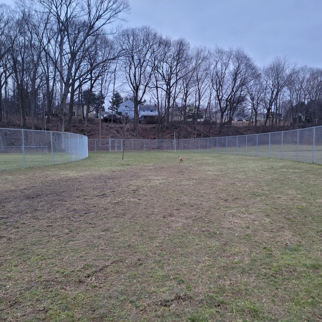 J Tracy Hermann Memorial Dog Park 2