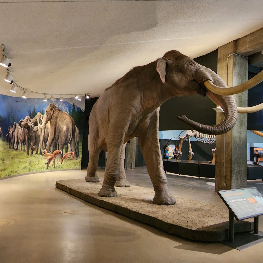 KCRW Summer Nights With La Brea Tar Pits 3