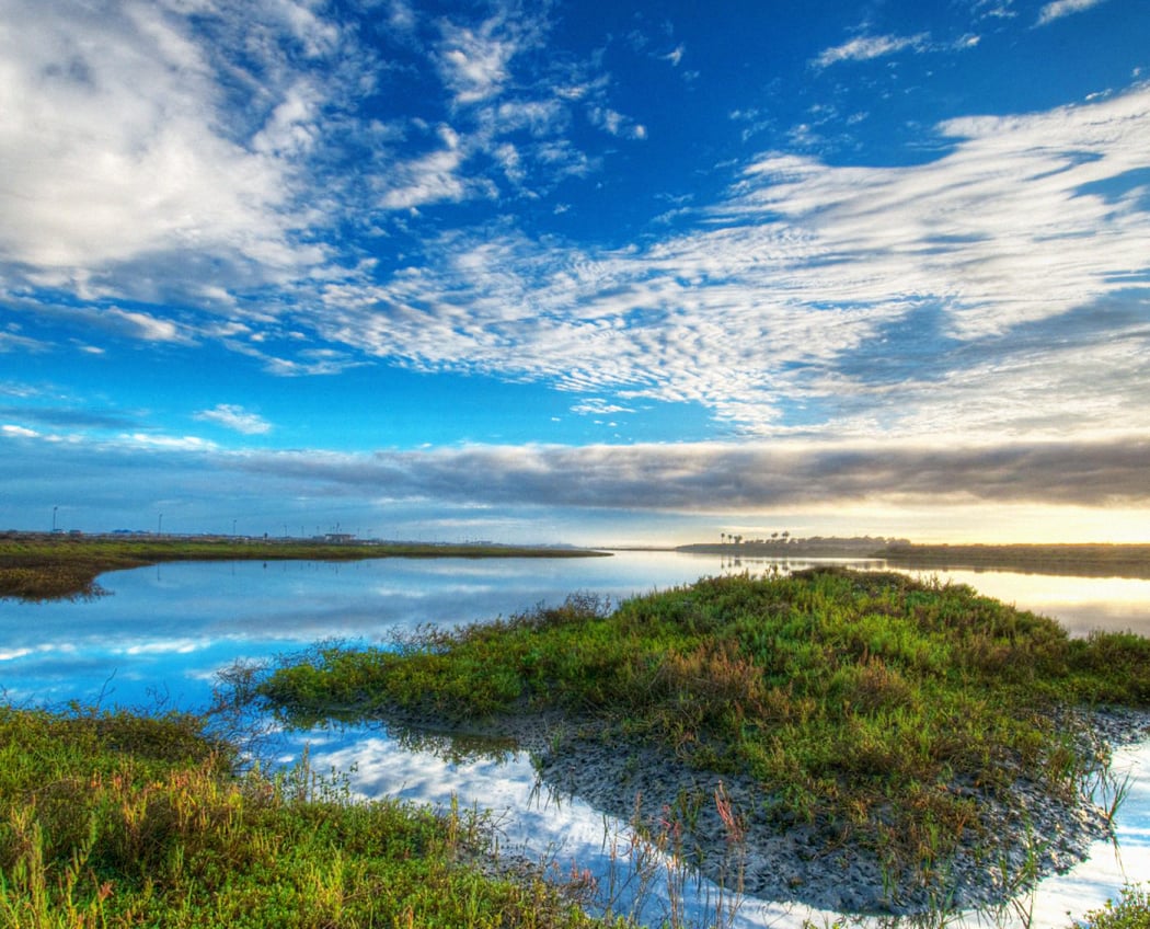 Bolsa Chica Ecological Reserve Public Tour 2