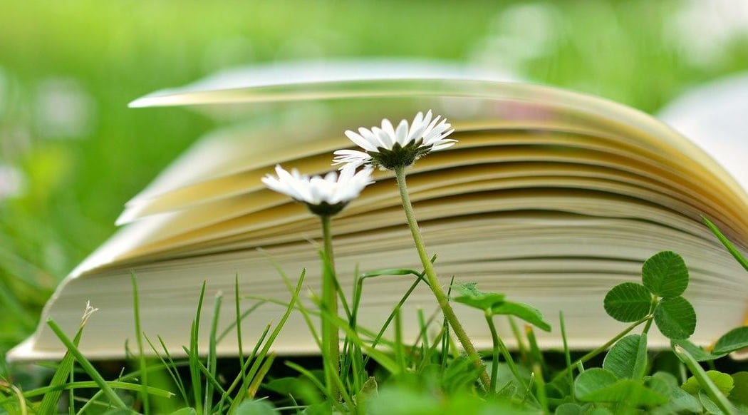 LA FICTION LITTÉRAIRE POUR IMAGINER LA TRANSITION ÉCOLOGIQUE ET SOCIALE 1