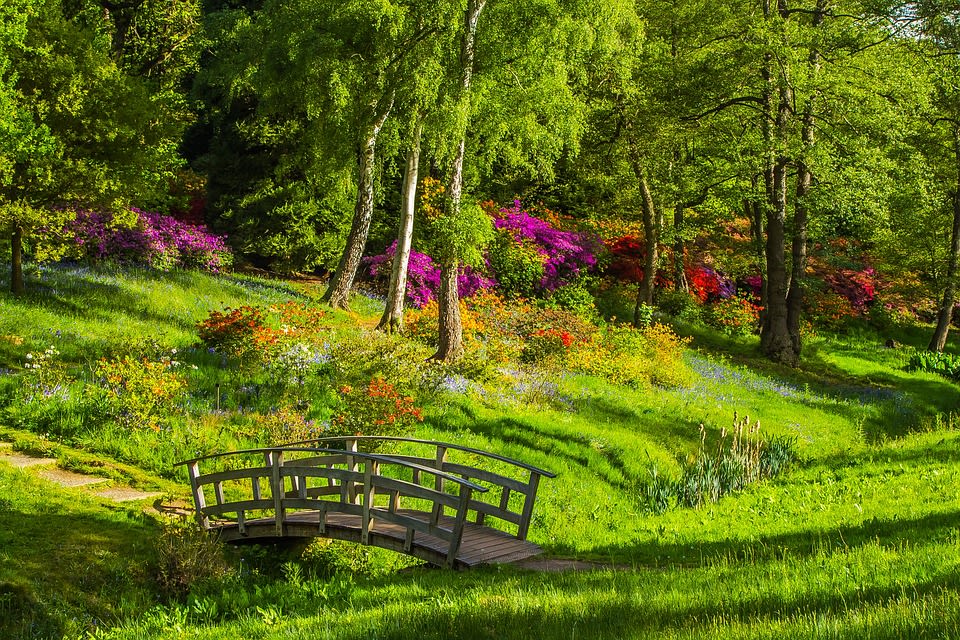 Guided Tour of Jack and Charmian’s Cottage Garden 1
