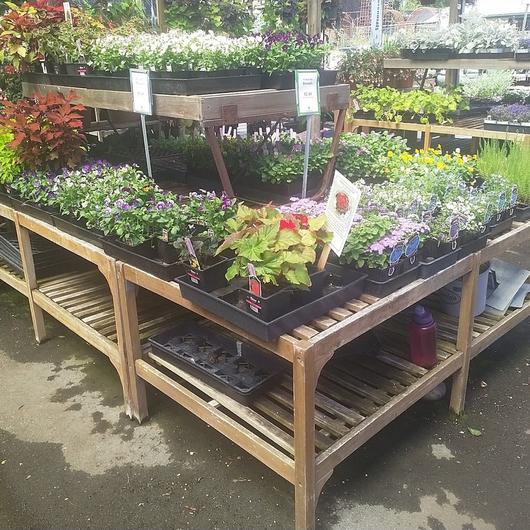 Sloat Garden Center 2
