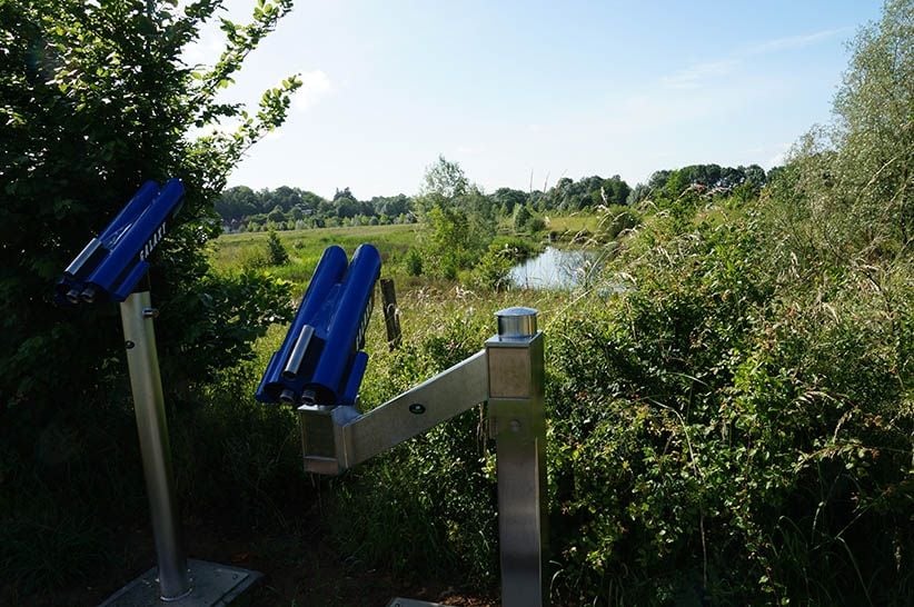 Espace naturel sensible du val de Choisille 3